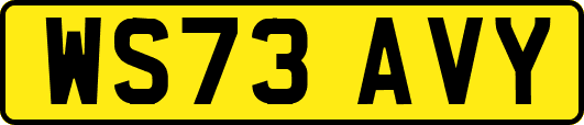 WS73AVY