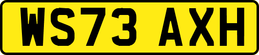 WS73AXH
