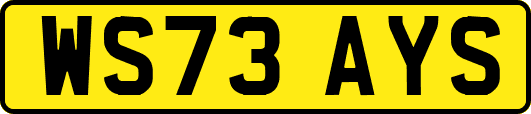WS73AYS