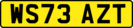 WS73AZT