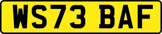 WS73BAF