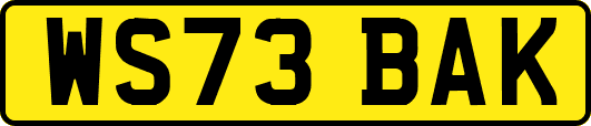 WS73BAK