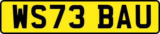 WS73BAU