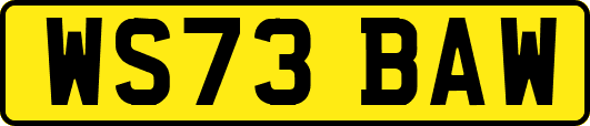 WS73BAW