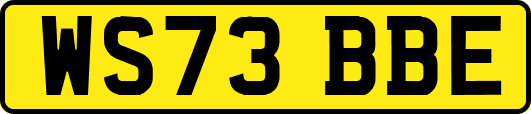 WS73BBE