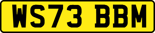 WS73BBM