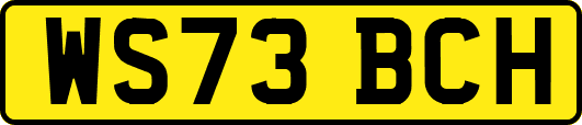 WS73BCH