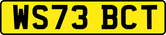 WS73BCT