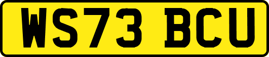 WS73BCU