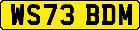 WS73BDM