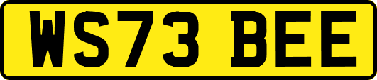 WS73BEE
