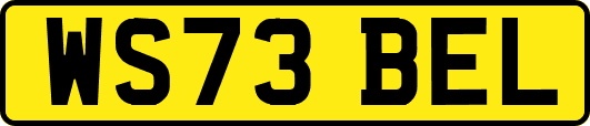 WS73BEL