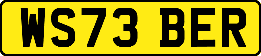 WS73BER
