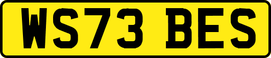 WS73BES