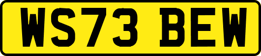 WS73BEW