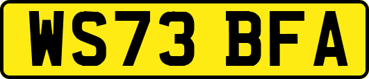 WS73BFA