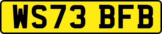 WS73BFB