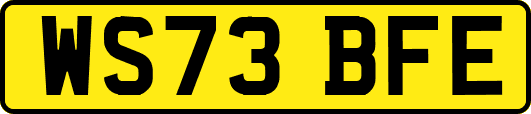 WS73BFE