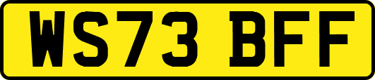 WS73BFF