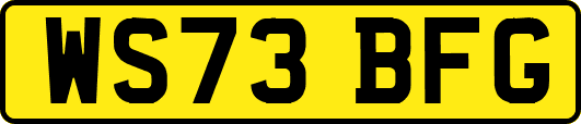 WS73BFG