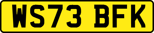 WS73BFK