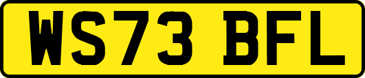 WS73BFL