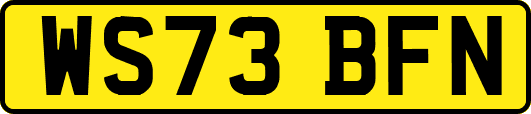 WS73BFN
