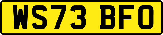 WS73BFO