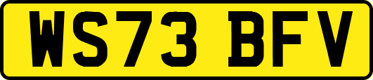 WS73BFV