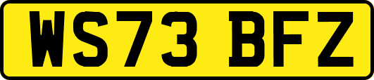 WS73BFZ