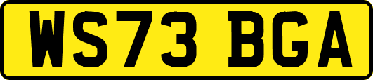 WS73BGA