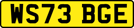 WS73BGE