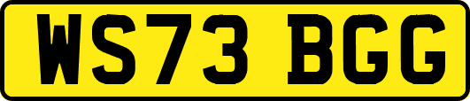 WS73BGG