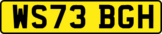 WS73BGH