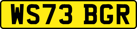 WS73BGR