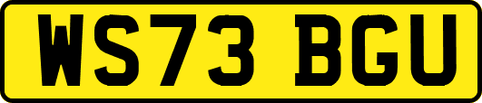 WS73BGU