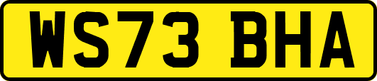 WS73BHA