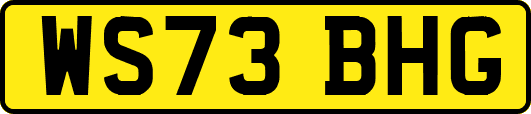 WS73BHG