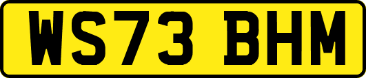 WS73BHM