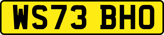WS73BHO