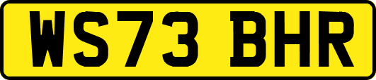 WS73BHR