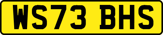 WS73BHS