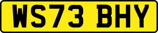 WS73BHY