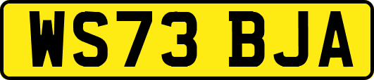 WS73BJA