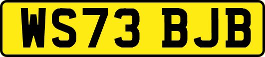 WS73BJB