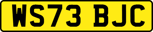 WS73BJC