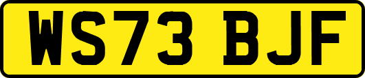 WS73BJF