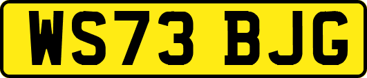 WS73BJG