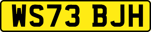 WS73BJH