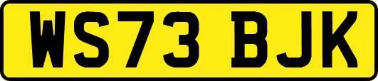 WS73BJK